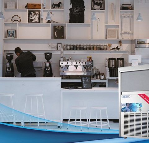 máy làm nước đá Hải Âu uy tín