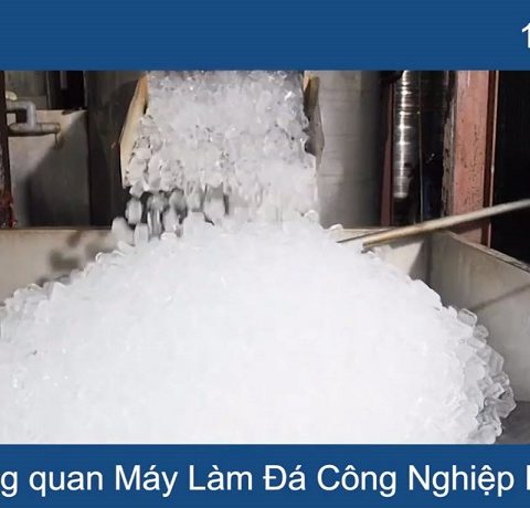 thành phẩm đá viên máy làm đá viên công nghiệp