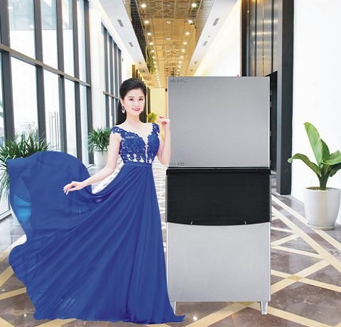 máy làm đá hải âu