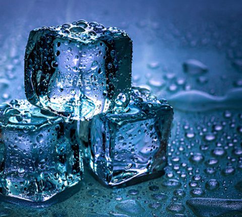 thương hiệu máy làm đá